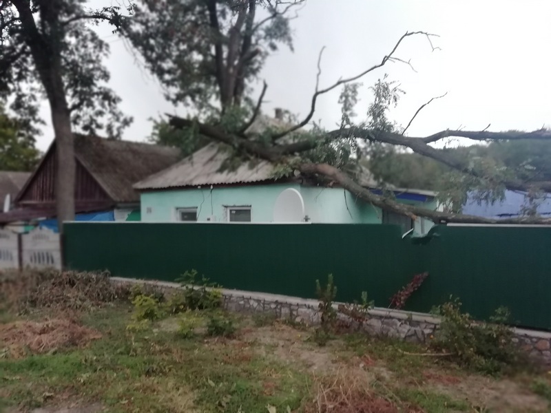 На Николаевщине шквальный ветер валил деревья и на проезжую часть, и на крыши домов 3