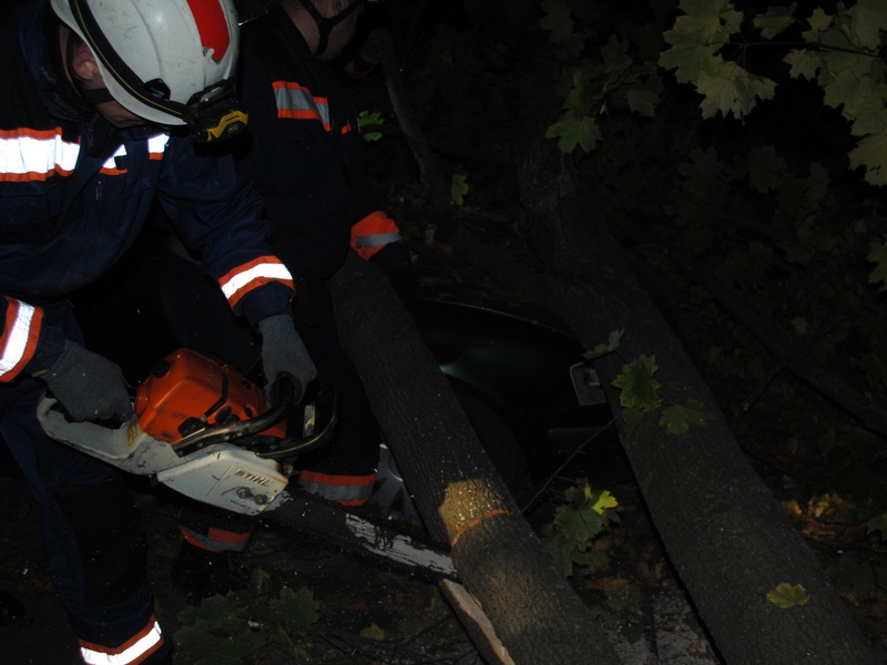 В Николаеве две машины были повреждены упавшим деревом 5