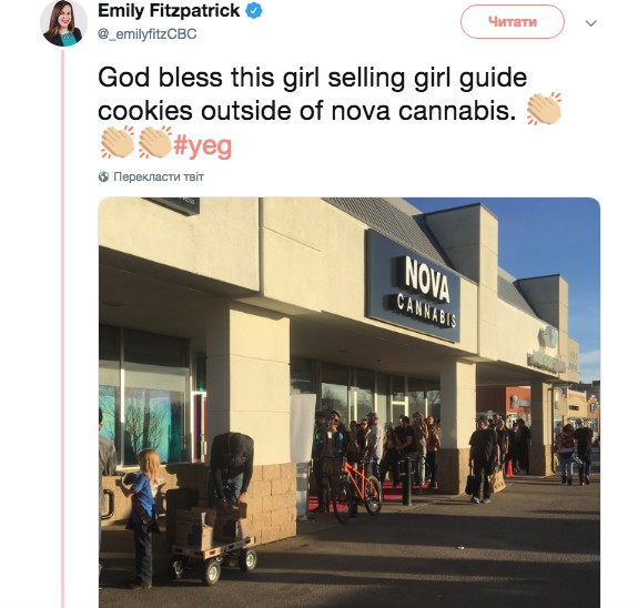 Прирожденный маркетолог: в Канаде девочка распродала все печенье в очереди за марихуаной 1
