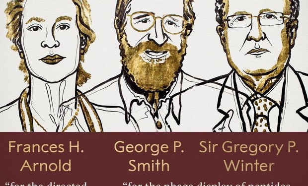 Нобелевскую премию в химии дали за эволюцию ферментов и вирусы