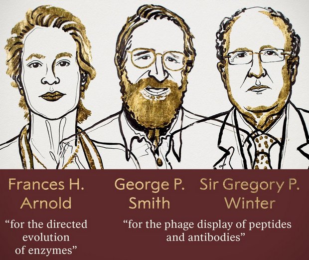 Нобелевскую премию в химии дали за эволюцию ферментов и вирусы 7