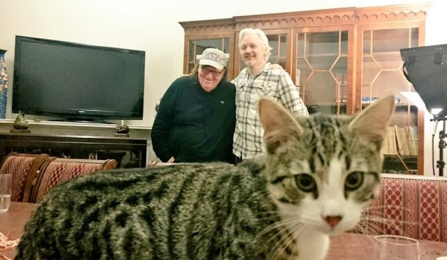 В посольстве Эквадора потребовали от Ассанжа убирать за своим котом