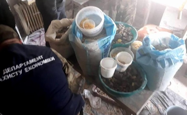 На Ровенщине разоблачили цех по переработке янтаря