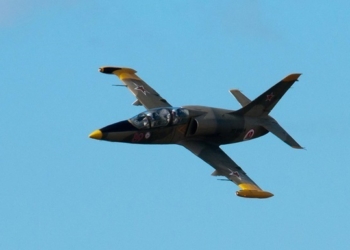 Пилоты рухнувшего в Азовское море самолета Л-39 погибли