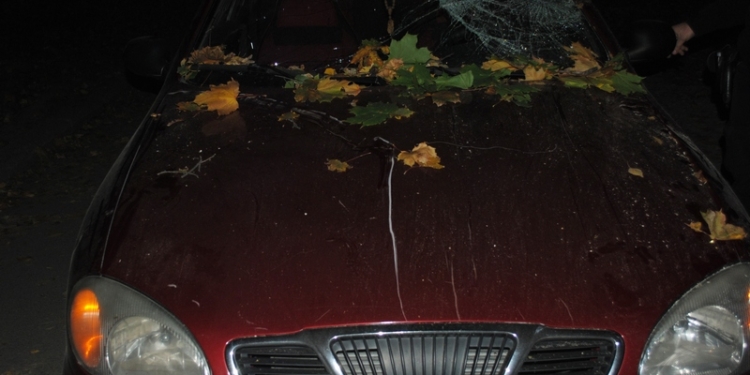В Николаеве две машины были повреждены упавшим деревом