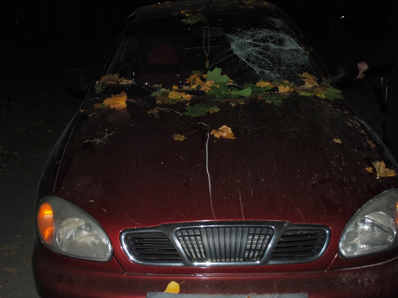 В Николаеве две машины были повреждены упавшим деревом 7