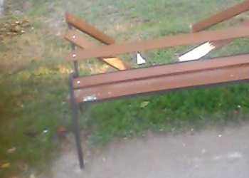 В департаменте ЖКХ Николаева подсчитывают убытки после праздников – сломанные скамейки и урны