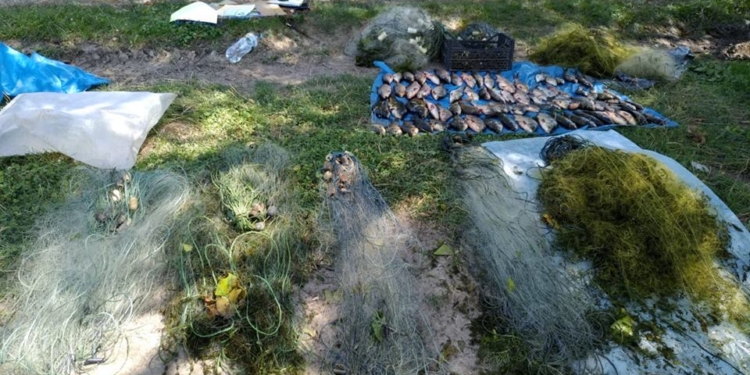 За минувшую неделю Николаевский рыбоохранный патруль изъял у браконьеров 153 кг незаконно добытых водных биоресурсов