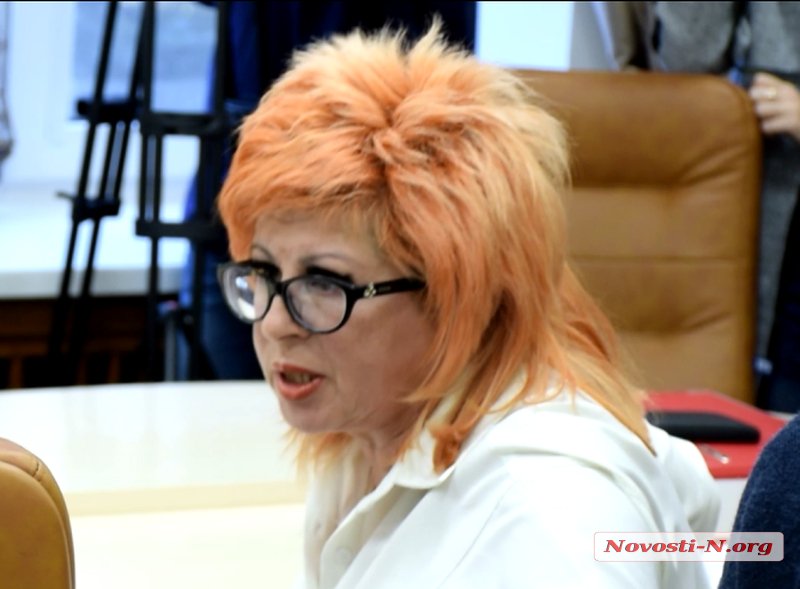 Николаевские депутаты не стали рассматривать программу о бродячих собаках на комиссии ЖКХ 1