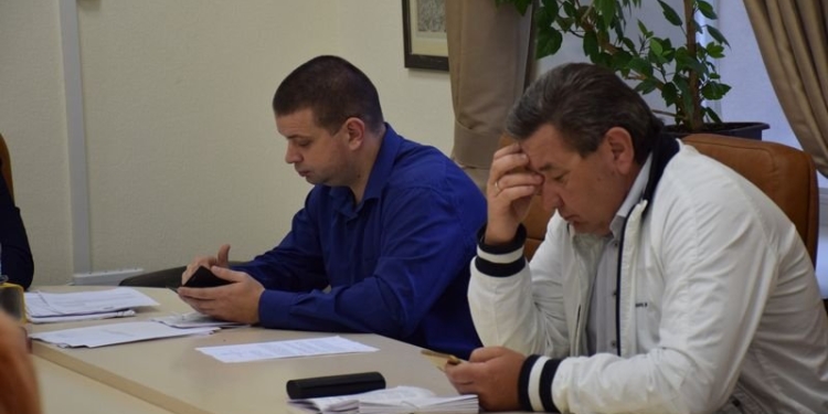 Николаевские депутаты не стали рассматривать программу о бродячих собаках на комиссии ЖКХ