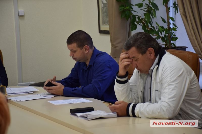 Николаевские депутаты не стали рассматривать программу о бродячих собаках на комиссии ЖКХ 5
