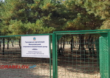 В Корабельном районе незаконно огородили территорию в лесу для проведения платных тренировок