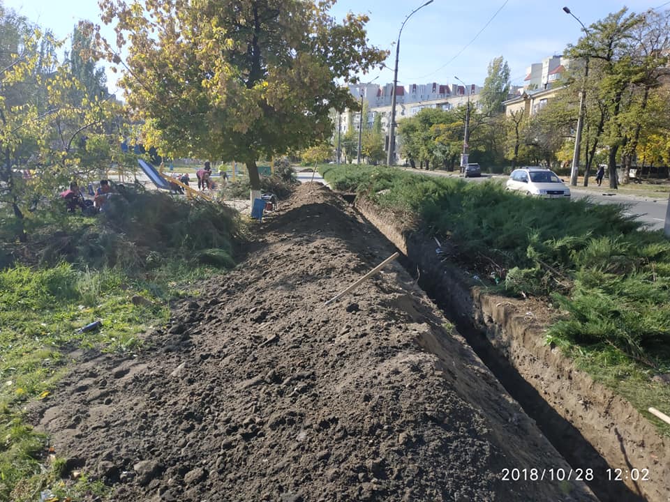 При прокладке кабеля в сквере Заводского района рабочие уничтожили многолетние кусты можжевельника 6