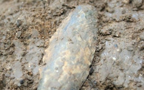 15000 лет. Американские археологи обнаружили самые древние копья на континенте