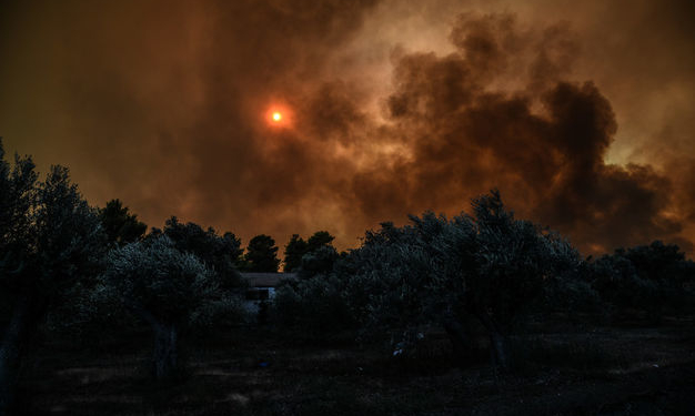 В Греции начался масштабный лесной пожар