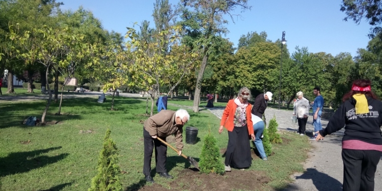 В Николаеве появилась аллея туй в знак памяти о жертвах нацизма