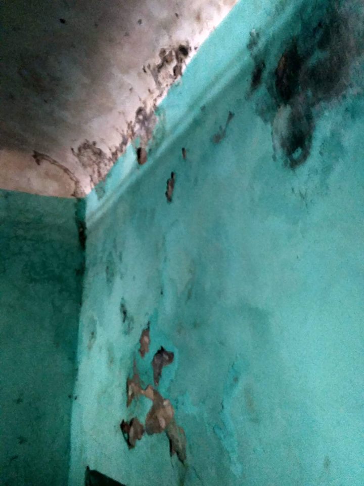 «Новоприбывших, как животных, держат в клетках в коридоре»: правозащитники поразились увиденному в Николаевском СИЗО 17