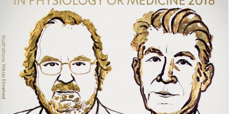 Нобелевская премия в медицине присуждена за открытие нового метода лечения онкозаболеваний