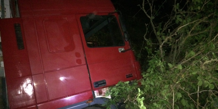 На Одесской трассе DAF вылетел в кювет. Водитель погиб, у его жены ни царапины