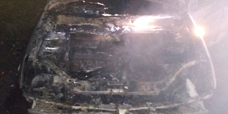 Три машины за сутки тушили николаевские спасатели