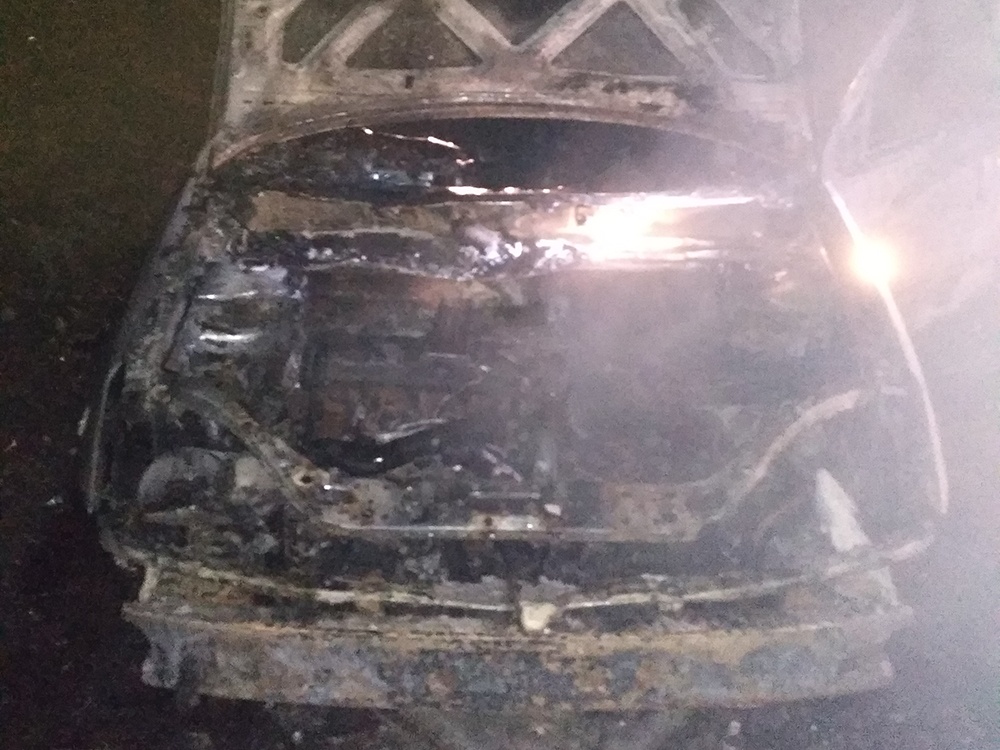 Три машины за сутки тушили николаевские спасатели 3