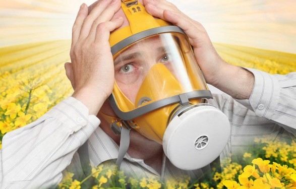 Затянувшееся бабье лето – время смены аллергенов. Как вы относитесь к альтернарии?