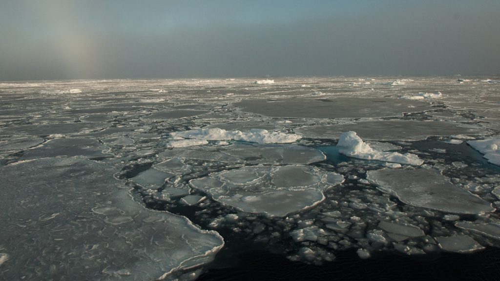 В NASA заявили, что многолетний арктический лед практически растаял 1