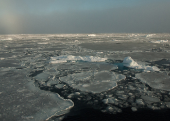 В NASA заявили, что многолетний арктический лед практически растаял