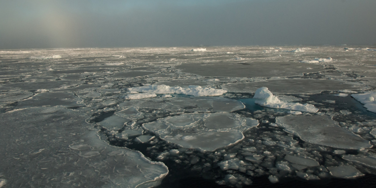 В NASA заявили, что многолетний арктический лед практически растаял