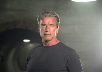 Губернатор Савченко отправит делегацию на форум Восточной Европы, чтоб пригласить Шварценеггера в Николаев