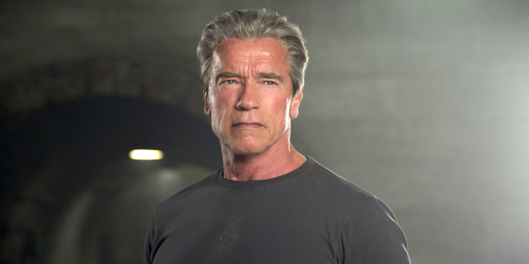 Губернатор Савченко отправит делегацию на форум Восточной Европы, чтоб пригласить Шварценеггера в Николаев