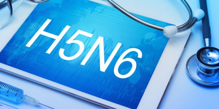 В Китае зафиксирован случай заражения птичьим гриппом