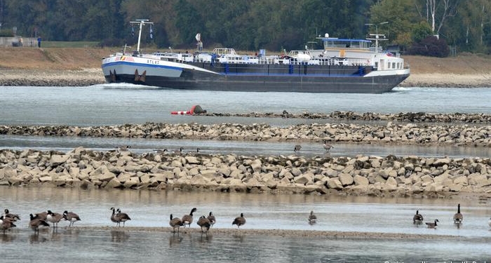 Германия открыла стратегические резервы горючего из-за обмеления Рейна