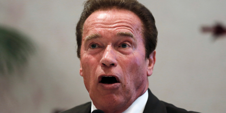 Попытка №2: из Николаевщины отправят сто человек в Киев, чтобы пригласить Шварцнеггера