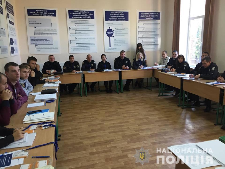 В Николаеве заработает «ПОЛИНА» - мобильная группа по реагированию на случаи домашнего насилия 1