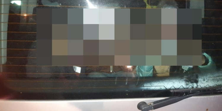 Во Львове пьяная женщина перевозила 3 детей в багажнике