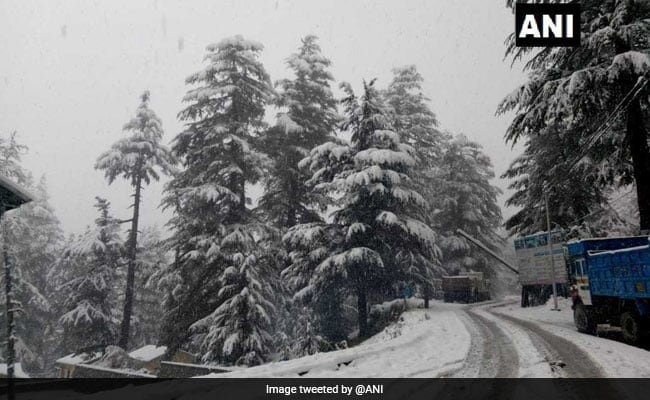 В Индии выпал снег впервые за 10 лет 3