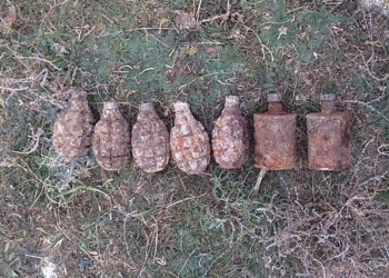 На Николаевщине в поле нашли семь гранат времен Второй мировой