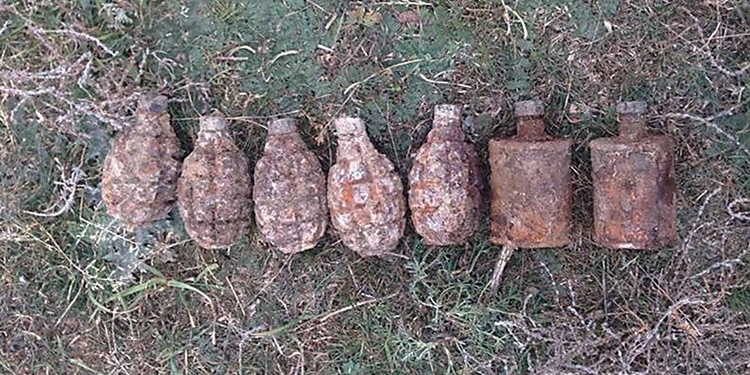На Николаевщине в поле нашли семь гранат времен Второй мировой