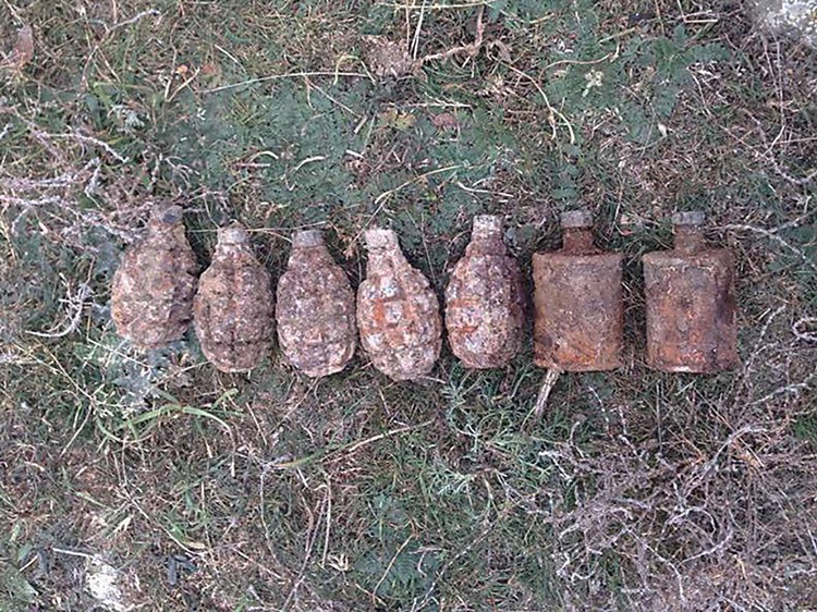 На Николаевщине в поле нашли семь гранат времен Второй мировой 1