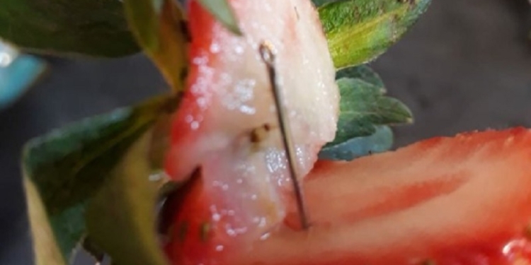 «Клубничный кризис» в Австралии вызвала 50-летняя женщина – она нашпиговывала клубнику швейными иголками «со злобы и из мести»