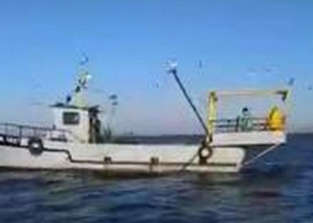 Николаевские фелюги браконьерили у херсонского НПП «Нижнеднепровский»