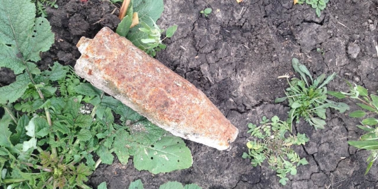 Пас скотину – нашел артснаряд: на Николаевщине обезвредили очередной взрывоопасный предмет