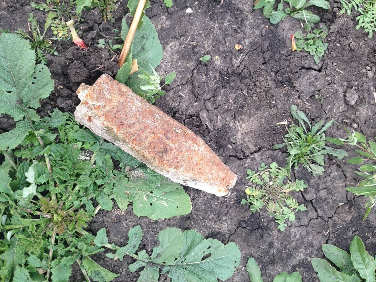 Пас скотину – нашел артснаряд: на Николаевщине обезвредили очередной взрывоопасный предмет