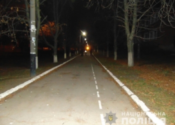 В Вознесенске полицейские задержали двух молодчиков, ограбивших за вечер женщину и мужчину