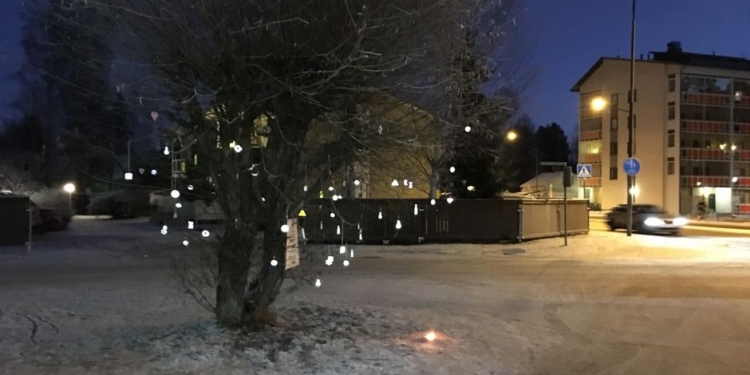 “Всем выйти из сумрака!”: в Финляндии начали появляться деревья с отражателями