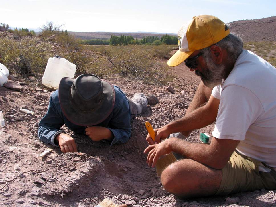 И снова Аргентина: палеонтологи обнаружили останки неизвестного ранее динозавра, который жил 110 миллионов лет назад 3