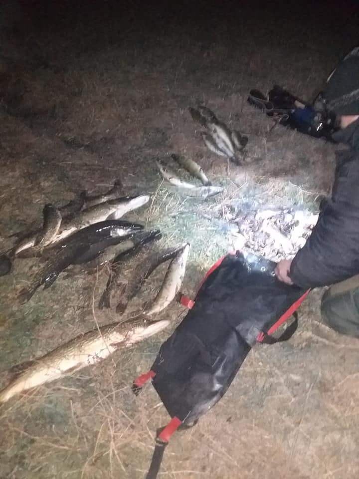 На Николаевщине рыбак-«подводник» лишился около 18 кг улова. Потому что ловил совсем близко от Александровской ГЭС 1