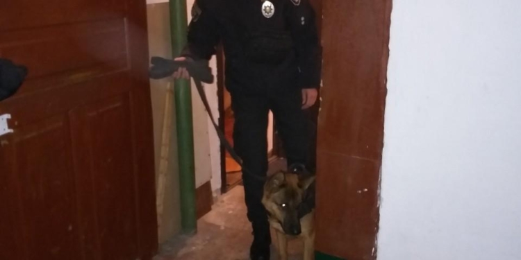 В одной из квартир Николаева найдено бездыханное тело пенсионерки с ножевыми ранениями