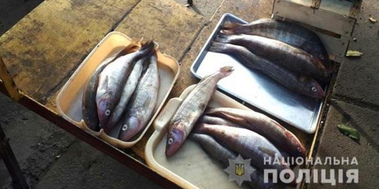 В Николаеве полицейские с рыбинспекторами прошлись по рынкам – составили 7 протоколов и изъяли 30 кг рыбы
